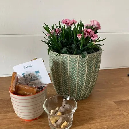 Le Cerf-volant بيت للعطل *