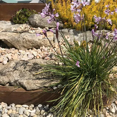 Le Cerf-volant بيت للعطل