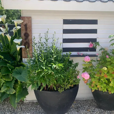 Le Cerf-volant Saint-Aubin-Sur-Mer (Calvados)