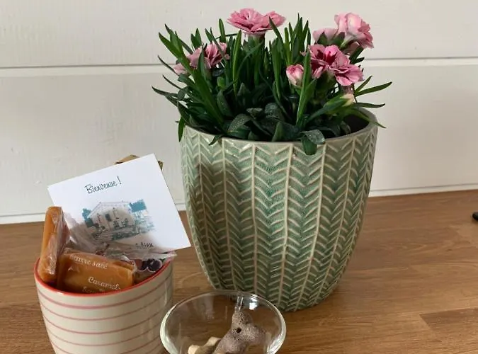 Le Cerf-volant 펜션 *