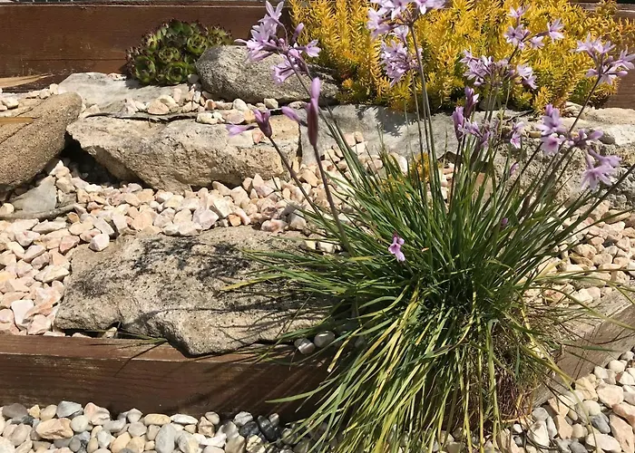 Le Cerf-volant 펜션