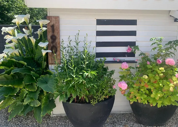 Le Cerf-volant Saint-Aubin-Sur-Mer (Calvados)